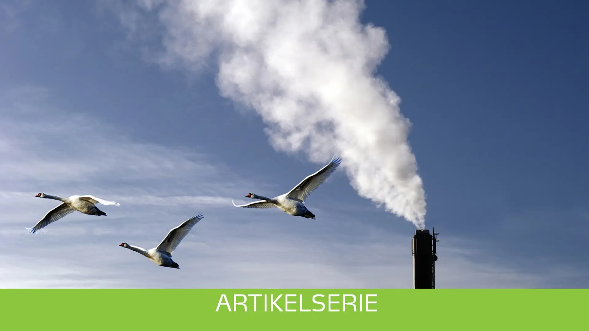 Arstema Forside Ny