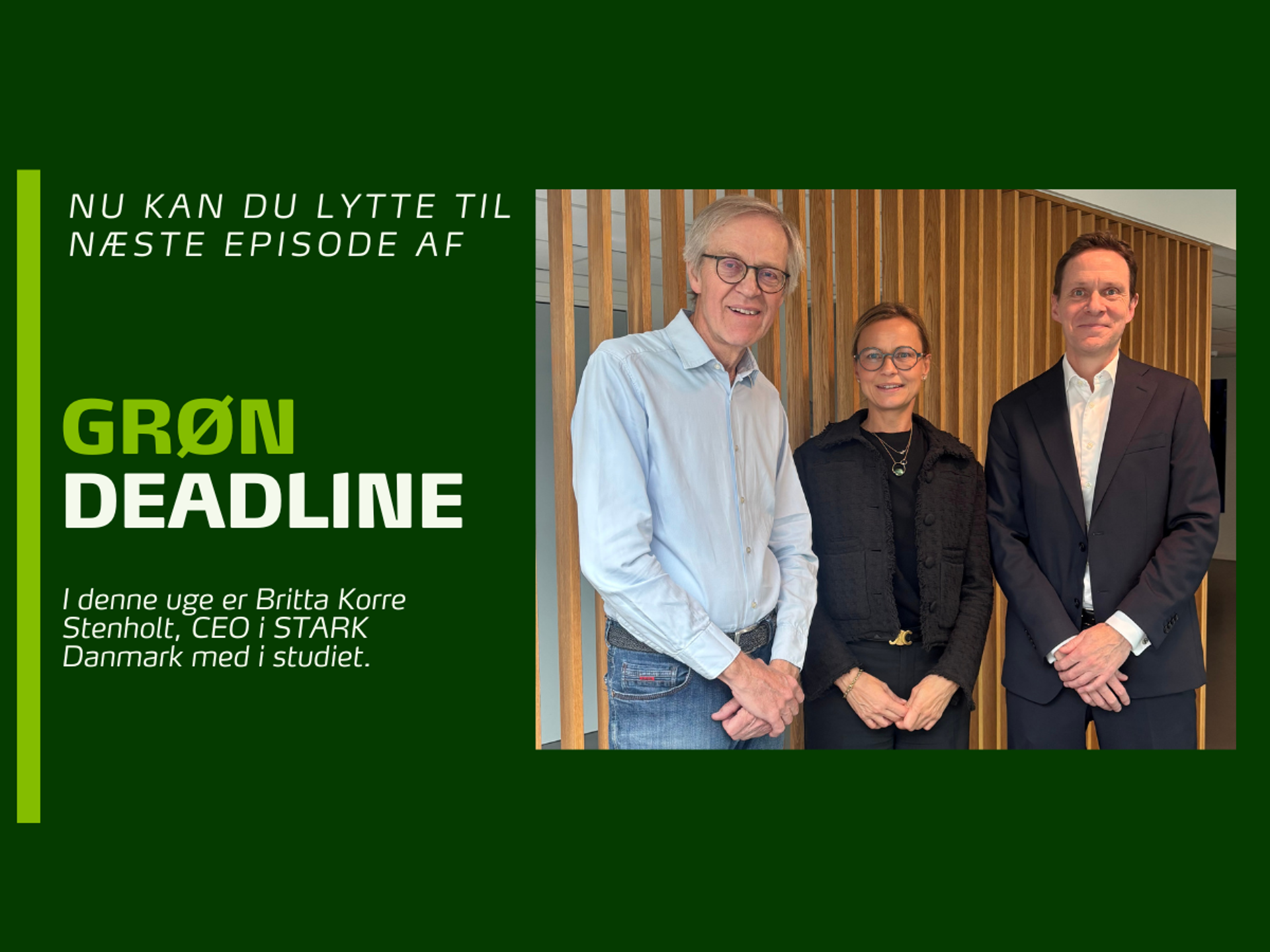 Grafik (Nyhedsstørrelse) (4)