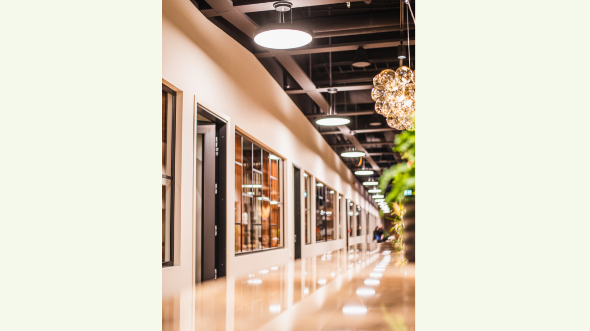 Grøn Deadline+Energimærkning+Udstillerartikler (5)