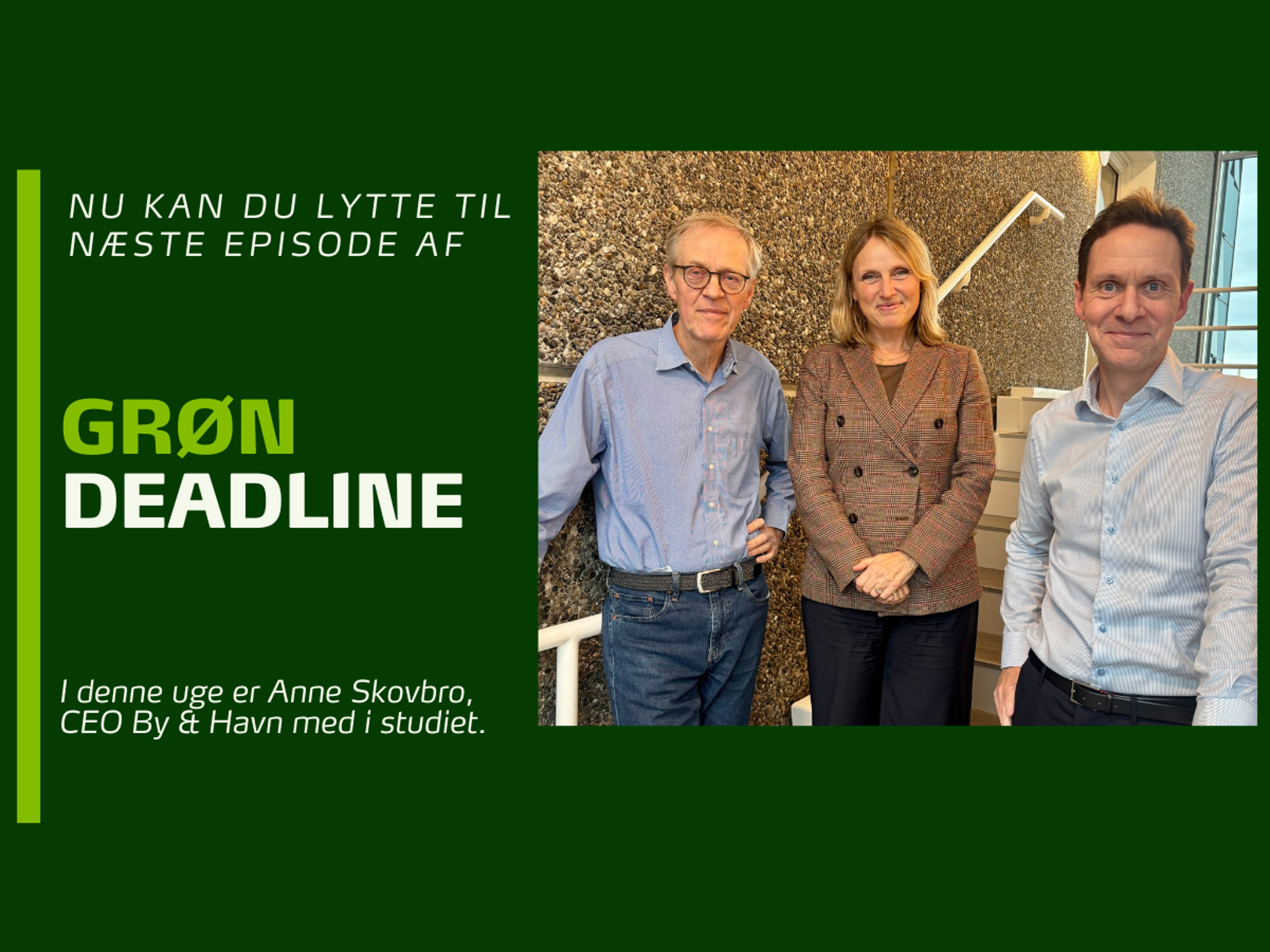 Grafik (Nyhedsstørrelse) (25)