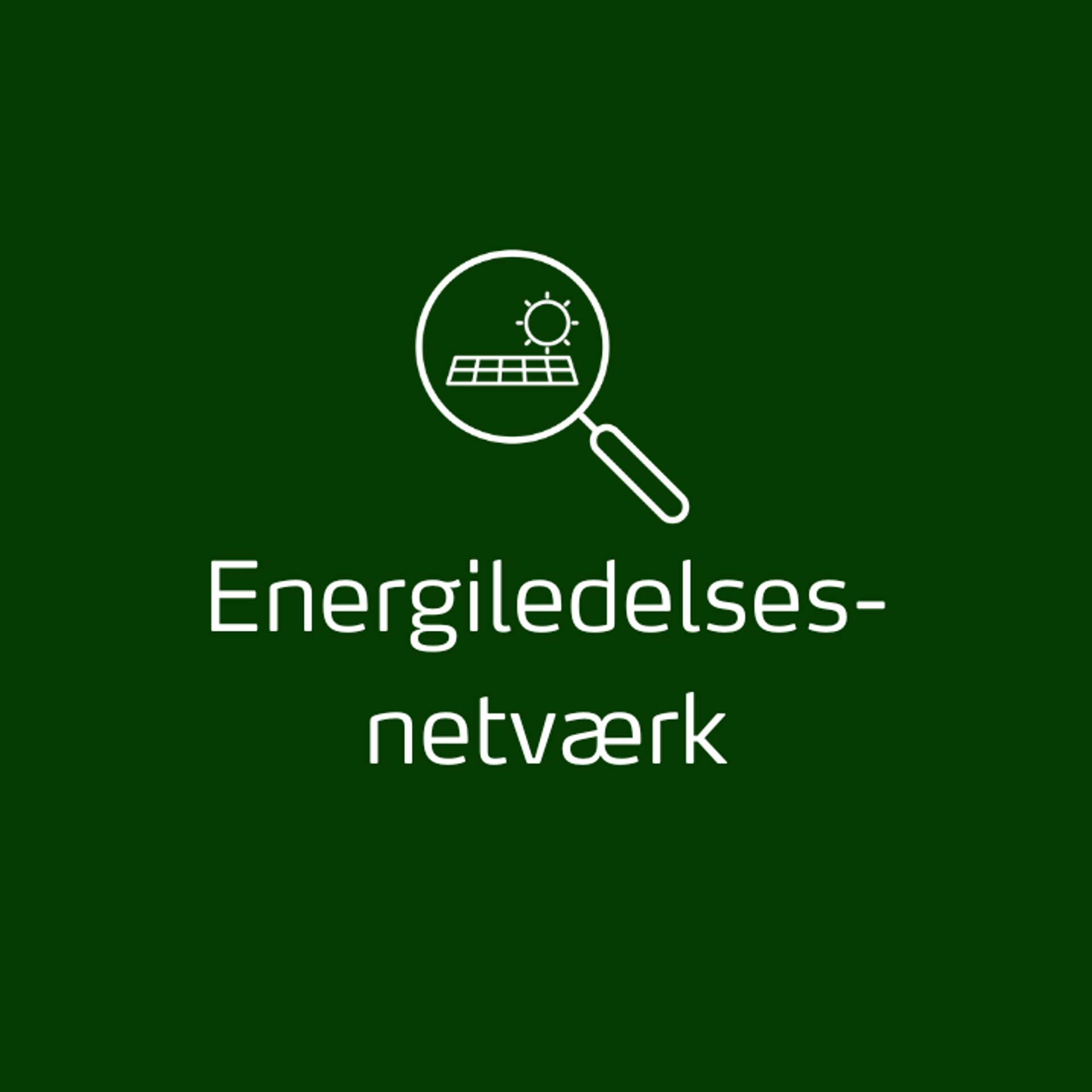 Energiledelsesnetværk