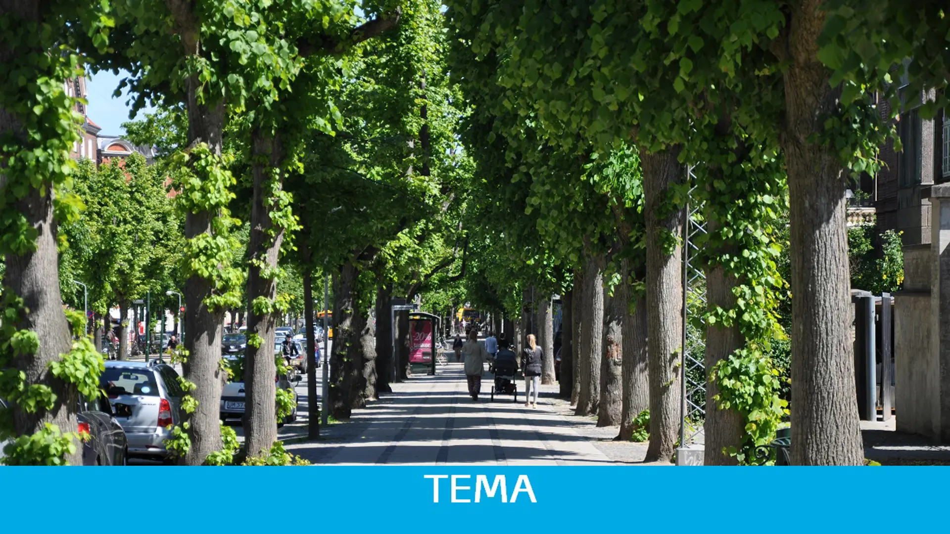 Frb Alle Tema