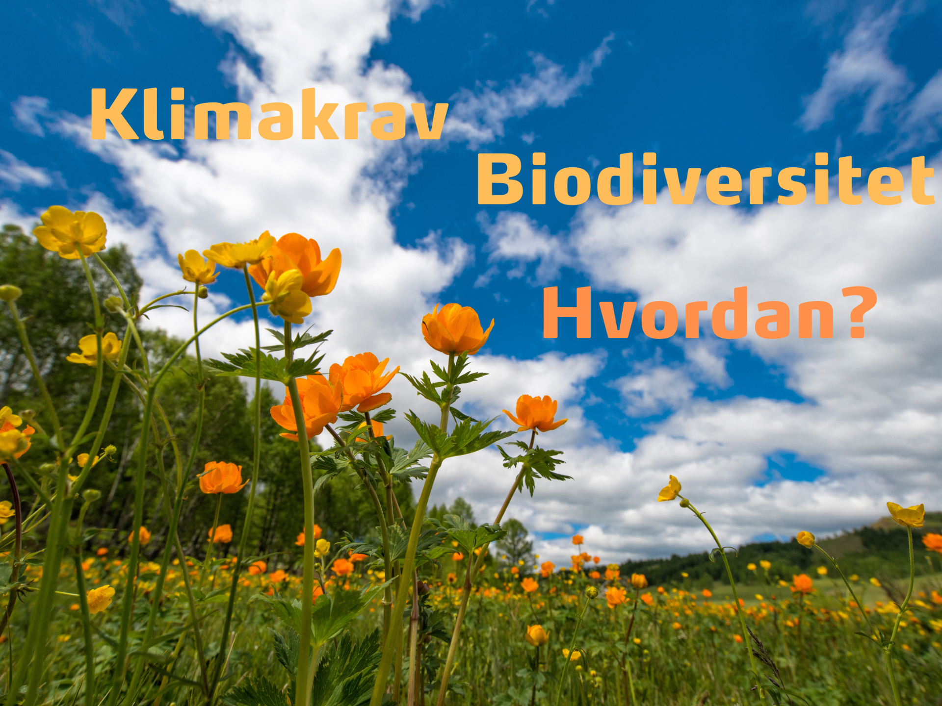 KLIMAKRAV