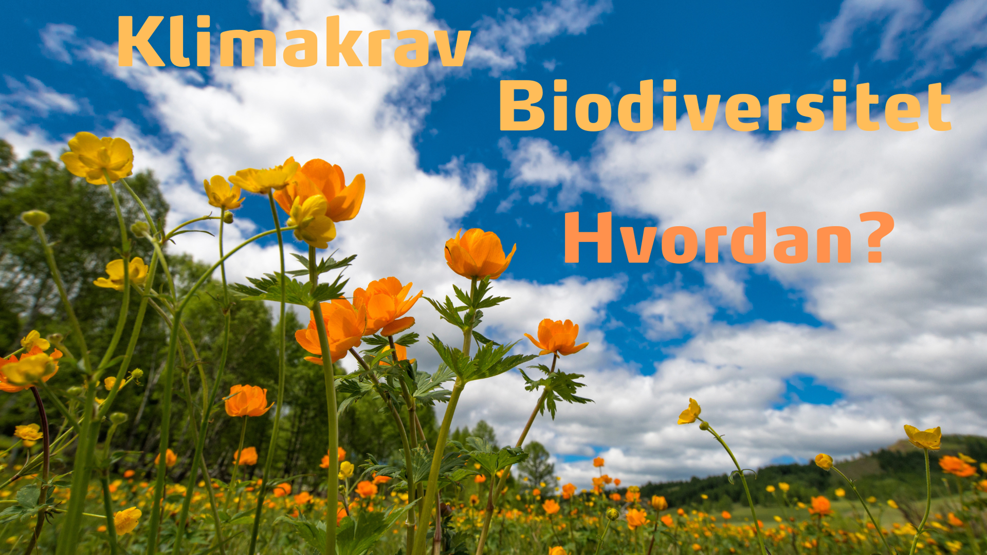 KLIMAKRAV
