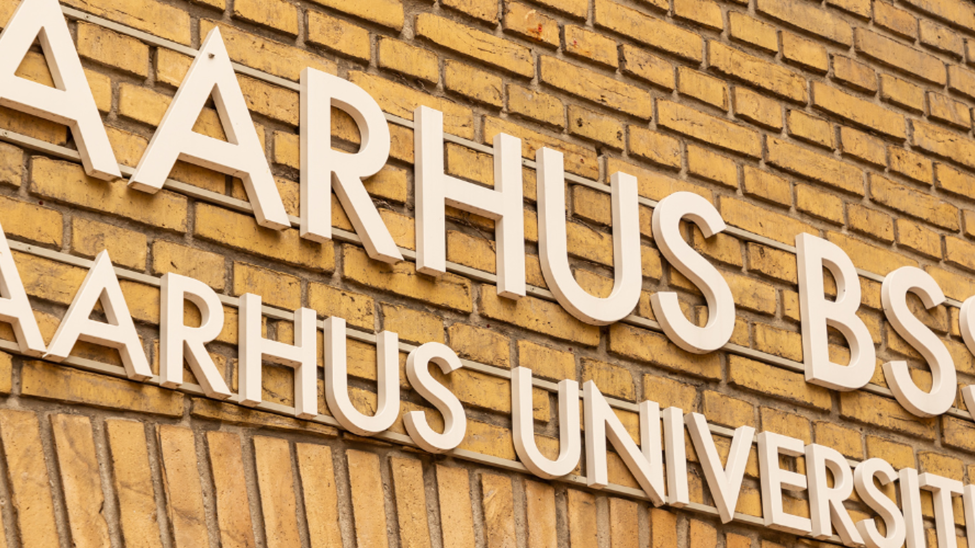Aarhusbss 1244X500